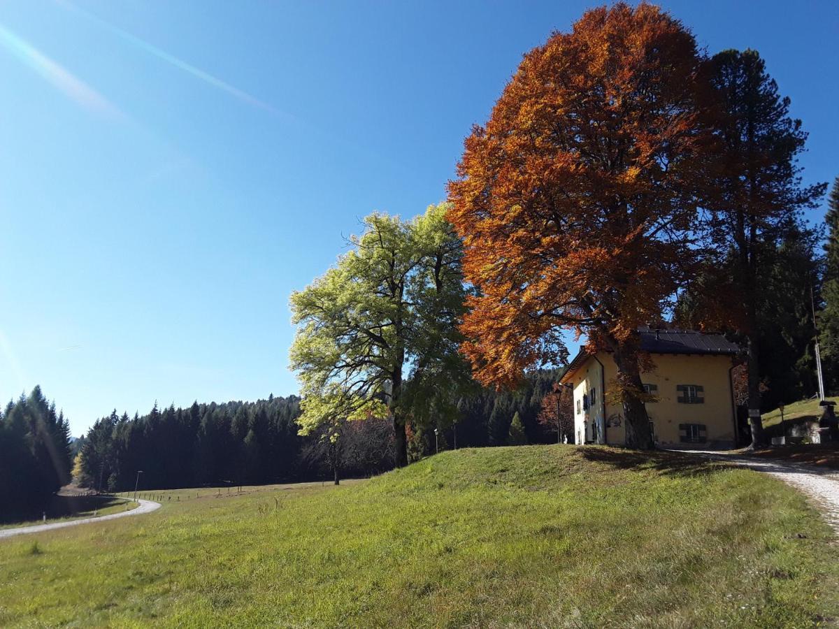 Chalet Musiera Aparthotel Castrozzi Exterior photo